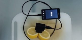 Как зарядить телефон с помощью лимона
