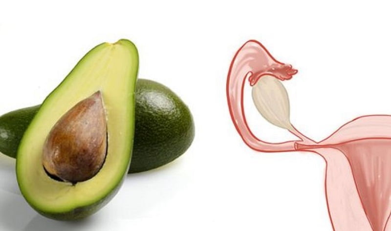 авокадо и матка