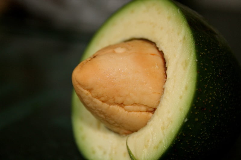 косточка авокадо как применять