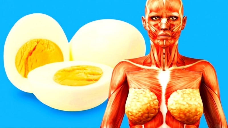 яичный белок для похудения