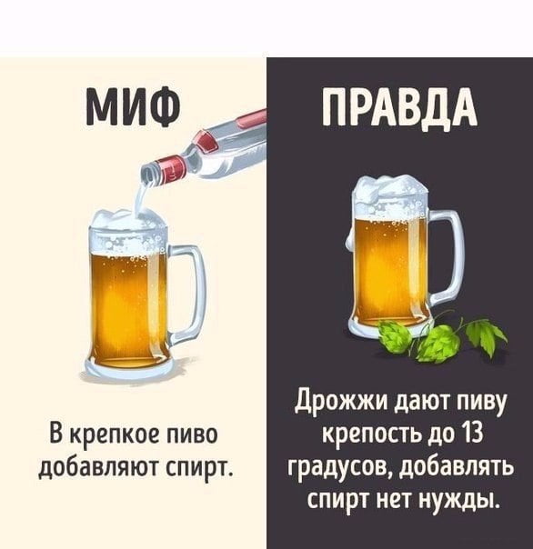 10 мифов о напитках