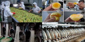 Еда из Китая наполненная пластиком