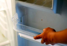 Как правильно помыть холодильник