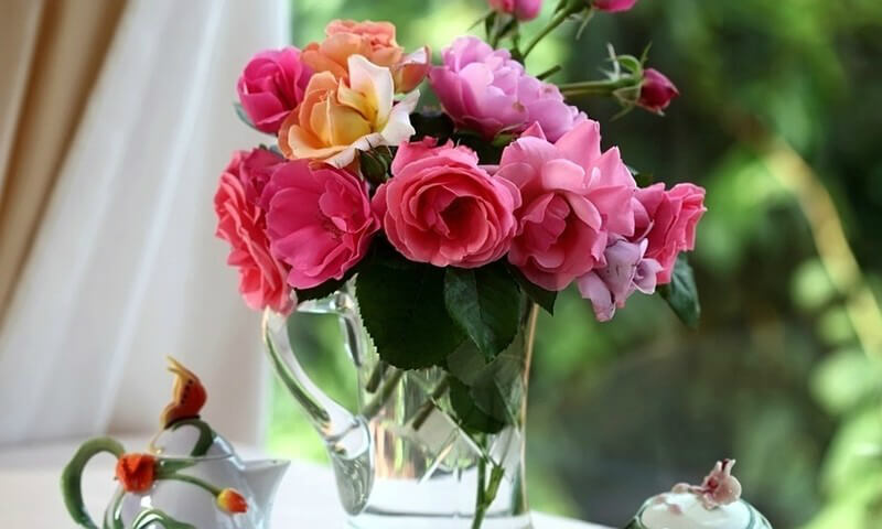 свежесть цветов в вазе на долго