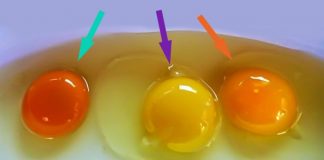 Как проверить яйца