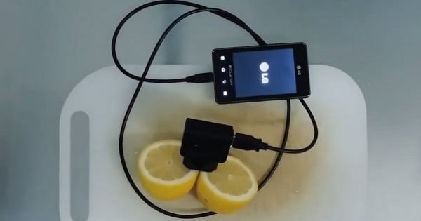 Как зарядить телефон с помощью лимона