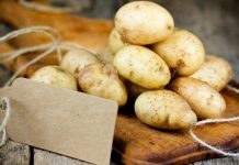применения картофеля