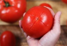 как сохранить помидоры