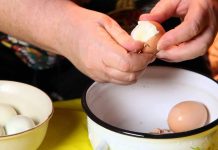 польза яйца для организма