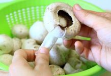Как чистить грибы