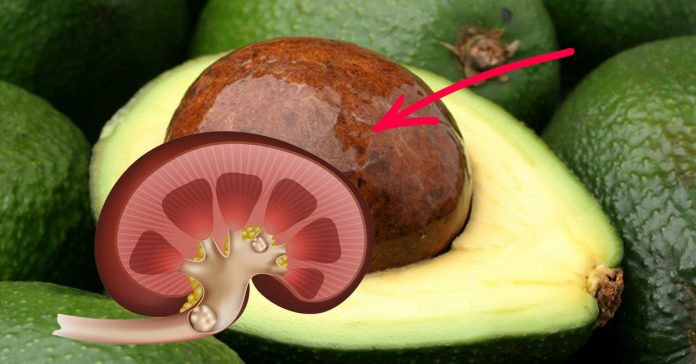 Полезные свойства семени авокадо